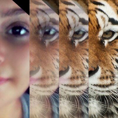 Profile Picture of Lourdes Renteria (@lulugangoso) on Twitter