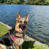 Profile Picture of Kacy Scott (@@kacyscott) on Tiktok