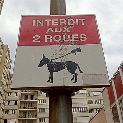 Avenue Du Temps Qui Passe - Twitter Profile Picture of Avenue Du Temps Qui Passe (@MouloudAkkouche) on Twitter