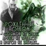 Profile Picture of махрудди (@maxruddi) on Instagram