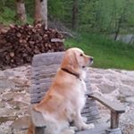 Profile Picture of John Cramer (@jlcramrr) on Instagram