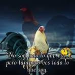 Profile Picture of Mente Melchor (@mente.melchor.2025) on Facebook