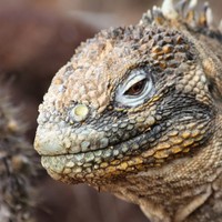 Profile Picture of Steven Bedard (@steven-bedard) on Quora