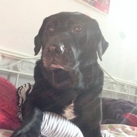 Profile Picture of Miranda Pritchard (@miranda-pritchard-1) on Quora