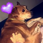 Profile Picture of Toby Blank (@tobyyblank) on Instagram