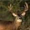 Profile Picture of jonathan higginbotham (@jhigginbotham025) on Pinterest