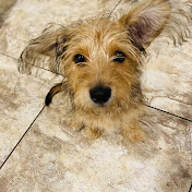 Profile Picture of Lorena Zaragoza (@lorenazaragoza254) on Youtube