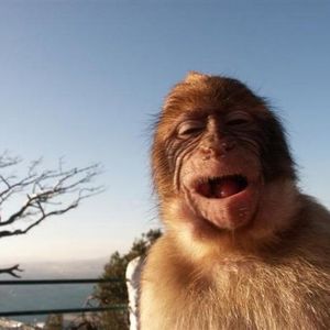 Profile Picture of Mark Askew (@347058862) on Myspace