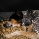 Profile Picture of mark Stratton I love 👽 (@joy_division_59) on Instagram