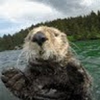 Profile Picture of Haley Boyle (@haley-boyle-10) on Quora