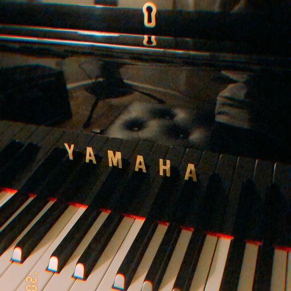 Profile Picture of Sara Jung (@saraj0302) on Poshmark