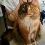 Profile Picture of Pamela (@mr.proulx60) on Instagram