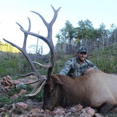 Profile Picture of Kyle Zimmerman (@kylezimmerman855) on Tiktok