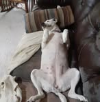 Profile Picture of Travis Blanken (@travis.blanken) on Facebook