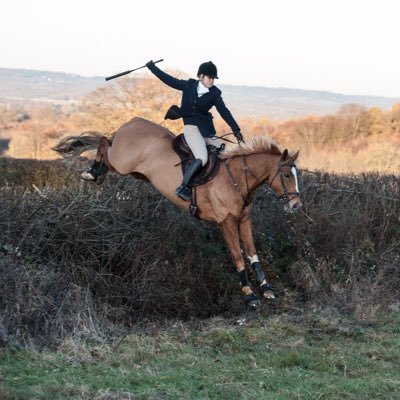 Profile Picture of Kylie Manser (@KylieManser) on Twitter