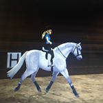 Profile Picture of haley_maple_feather (@haley_maple_feather) on Instagram