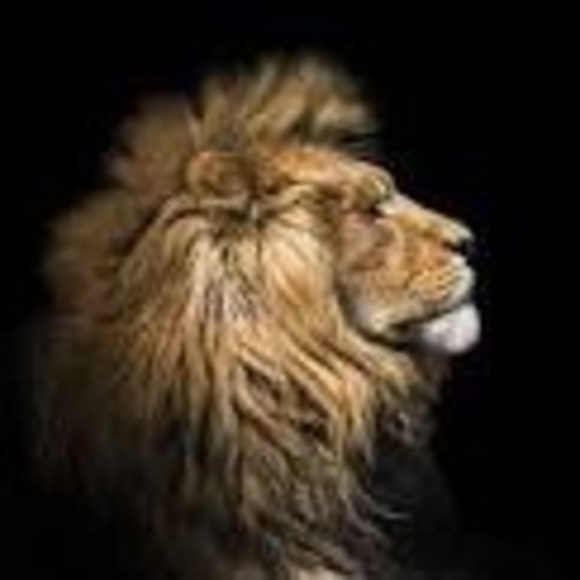 Profile Picture of David Pelemo (@lilpappi0016) on Poshmark