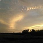 Profile Picture of Ronald Lafleur (@ronlafleurjr) on Instagram