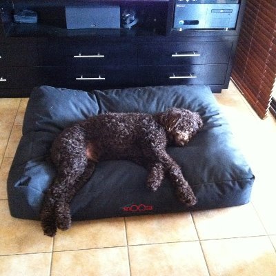 Profile Picture of Glenn Coleman (@GlennCo33964007) on Twitter