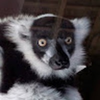 Profile Picture of Stuart Boyce (@stuart-boyce-7) on Quora