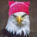 Profile Picture of Rohan Scott (@rmas2k3) on Pinterest