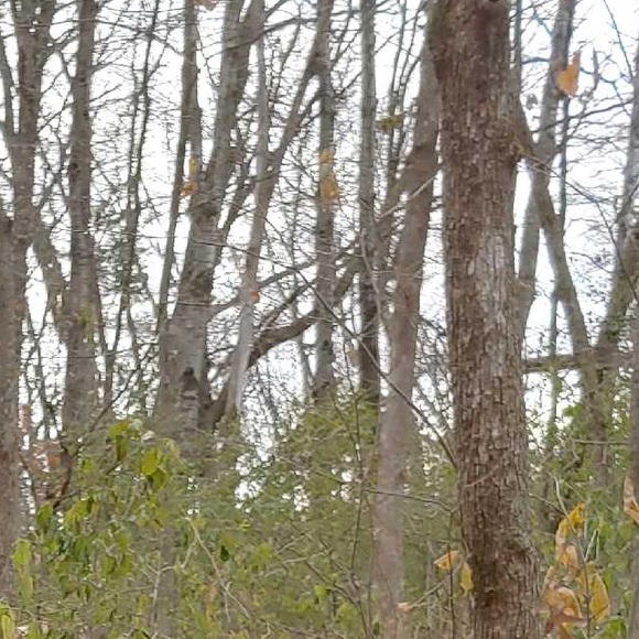 Profile Picture of Bryce Nordmann (@brycenordmann) on Poshmark