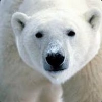 Profile Picture of Robert Allsop (@robert-allsop-13) on Quora