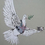 Profile Picture of Bill Lenner (@moondusty) on Flickr