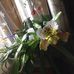 Profile Picture of Claude Rohrbach (@claude.rohrbach.5) on Facebook
