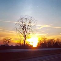 Profile Picture of Sandy Swanson (@sandy-swanson-5) on Quora