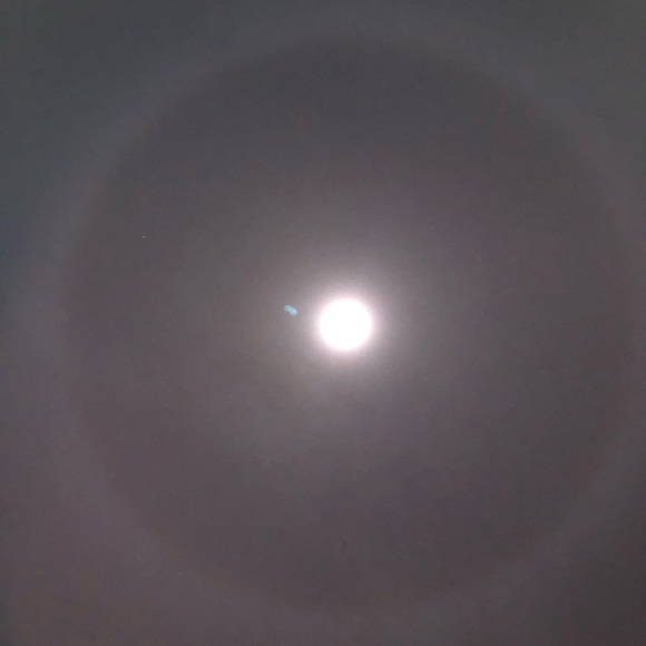 Profile Picture of Aysheh Alfarekh (@ayshehalfarekh) on Poshmark