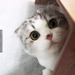 Profile Picture of 唐宇丰 (@tangyufeng9067) on Instagram
