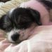 Profile Picture of Marc Twitchell (@marc.twitchell.18) on Facebook