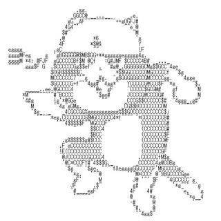 Profile Picture of peter_li (@peter_li) on Instagram