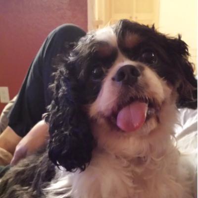 Profile Picture of Jeff Menzel (@MenzelJeff) on Twitter