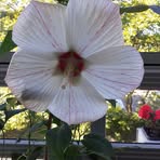 Profile Picture of Gunnar Jakobsen (@Gunnar-Jakobsen) on Facebook