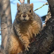 Profile Picture of Jeff Jung (@jeffjung4832) on Youtube