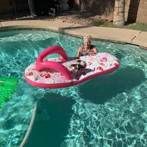 Profile Picture of Debbie Harned (@harned_debbie) on Twitter