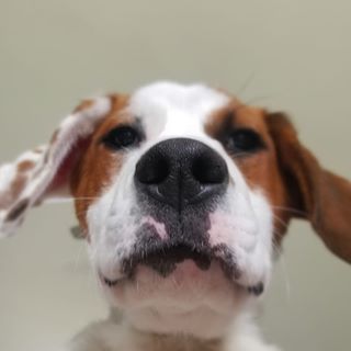 Profile Picture of Corey Windsor (@corey.windsor) on Facebook