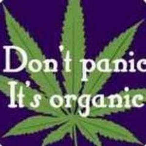 Profile Picture of Dorian Dillman (@223913198) on Myspace