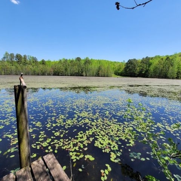 Profile Picture of Will Mitchell (@willcmitchell) on Poshmark