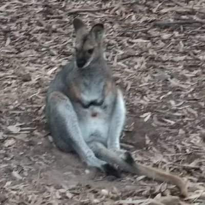 Profile Picture of Matthew Goff (@MatthewCGoff) on Twitter