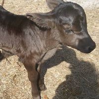 Profile Picture of Hank King (@hank-king-1) on Quora