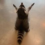 Profile Picture of Alexandra Gonzalez (@alexandra.denise121) on Instagram