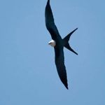 Profile Picture of Marshall Craig Sasser Jr (@sassermarshall) on Instagram