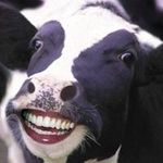 Profile Picture of David Tiley (@valefoods) on Instagram