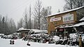 Profile Picture of Trapper Creek, Alaskaon Wikipedia