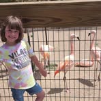 Profile Picture of Thomas Forgey (@thomas.forgey.2025) on Facebook