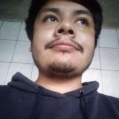 Profile Picture of Luis Fernando Melendres Cabral (@MelendresCabral) on Twitter