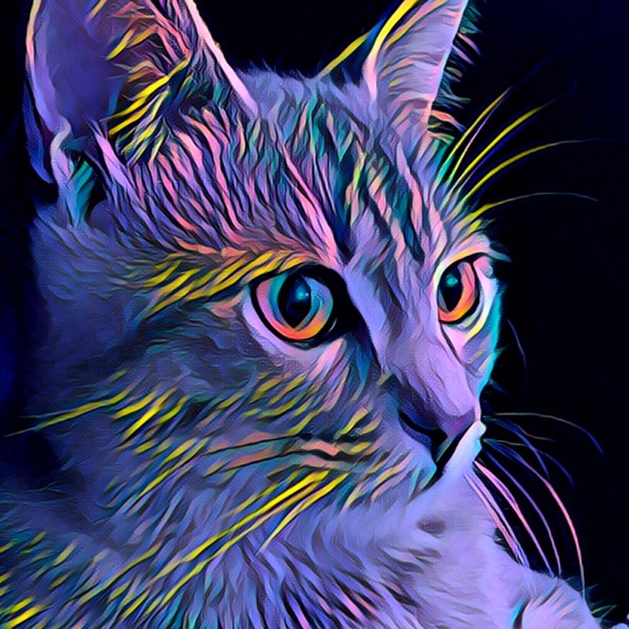 Profile Picture of Renee Kalishek (@rkalishek) on Poshmark